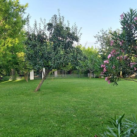 Apartment Oaza Relax Capodistria Esterno foto