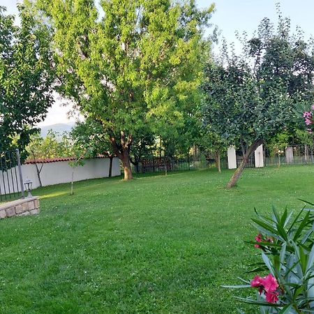 Apartment Oaza Relax Capodistria Esterno foto