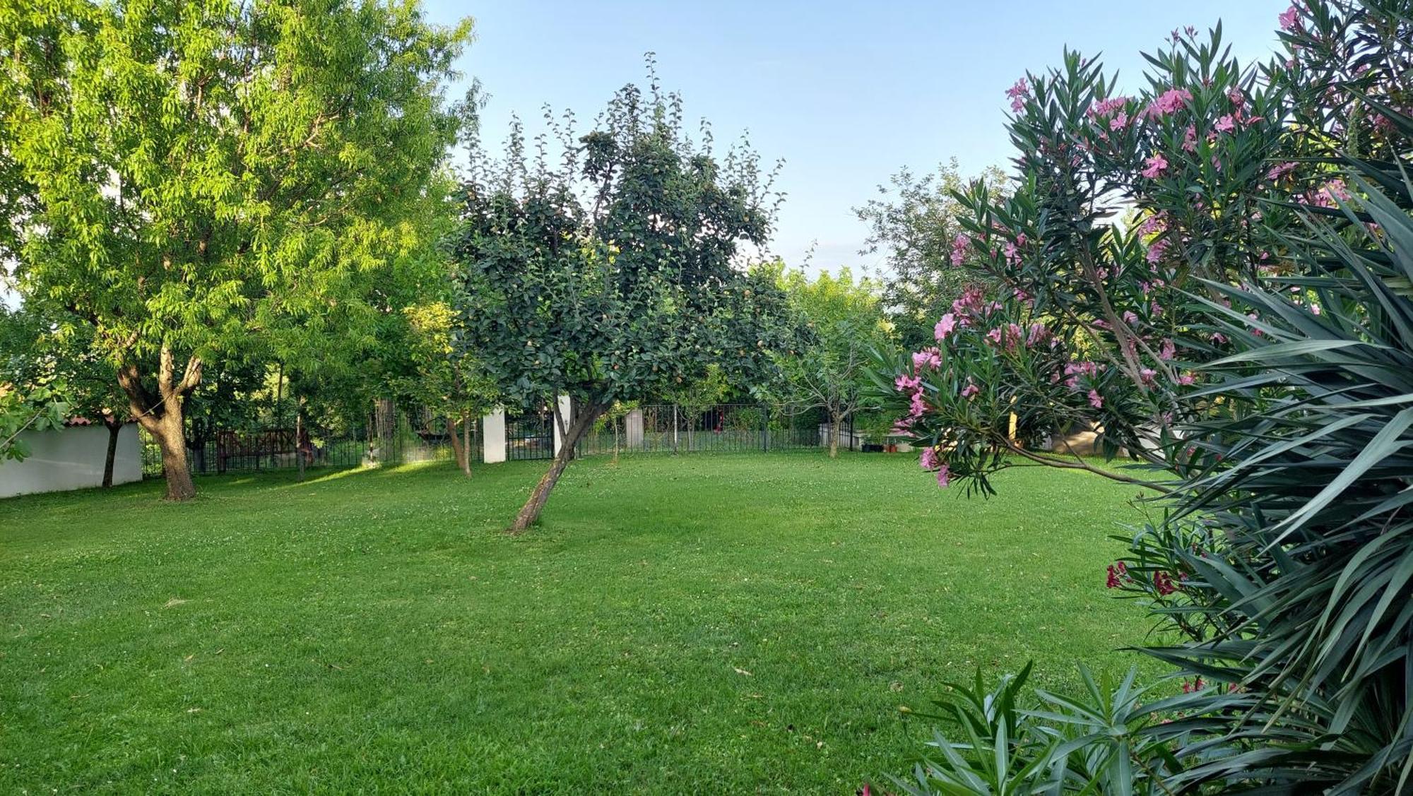 Apartment Oaza Relax Capodistria Esterno foto